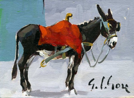 La coperta rossa - 1980